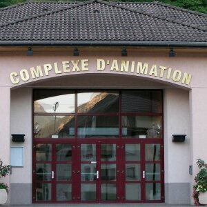 Complexe d'animation